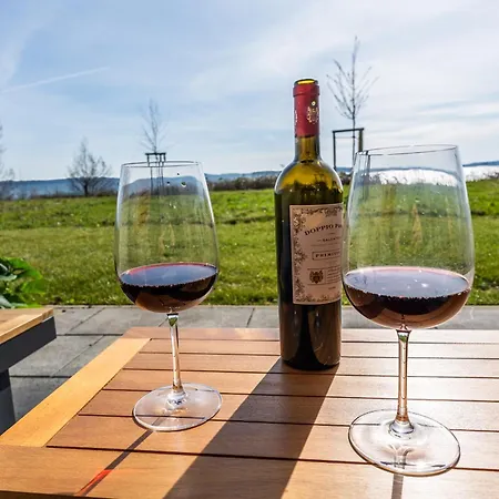 Hangar 19 Luxusbungalow Am H8 Schwerin (Mecklenburg-Vorpommern)